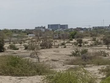 VENTA DE TERRENO DE 11 HAS, PIURA, URB. LOS EJIDOS, ZONA EXPANSION URBANA