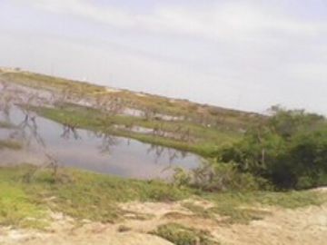 Terreno en Tumbes para Langostinera de Aprox 53 has