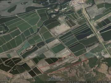 Terreno en Tumbes para Langostinera de Aprox 53 has