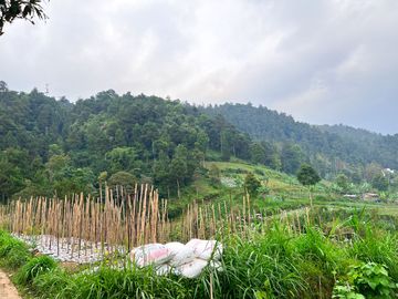 Dijual Tanah 410m² Dekat Candi Sukuh Kemuning