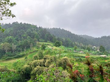 Dijual Tanah 410m² Dekat Candi Sukuh Kemuning