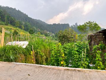 Dijual Tanah 410m² Dekat Candi Sukuh Kemuning