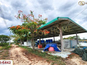 📢Land with buildings Teacher Panya Farm Shrimp Pond 78 rai 5 sq m, Nong Chok Subdistrict, Tha Yang District