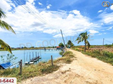 📢Land with buildings Teacher Panya Farm Shrimp Pond 78 rai 5 sq m, Nong Chok Subdistrict, Tha Yang District