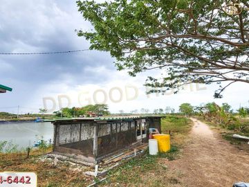 📢Land with buildings Teacher Panya Farm Shrimp Pond 78 rai 5 sq m, Nong Chok Subdistrict, Tha Yang District