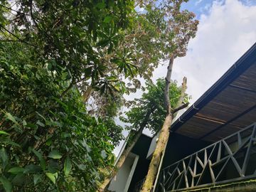 VENDO  HOTEL BOUTIQUE UBICADO RESERVA BOSQUE DE NIEBLA CIRCASIA QUINDIO  SOBRE LA AUTOPISTA DEL CAFE KM 7 ARMENIA PEREIRA
