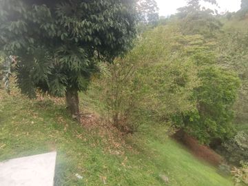 VENTA DE CASA FINCA LA TABLAZA, LA ESTRELLA