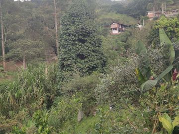 VENTA DE CASA FINCA LA TABLAZA, LA ESTRELLA