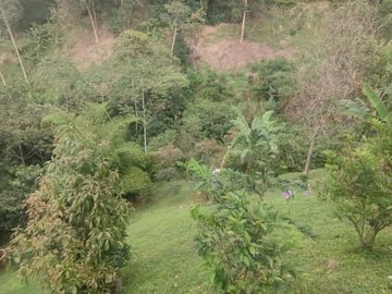 VENTA DE CASA FINCA LA TABLAZA, LA ESTRELLA