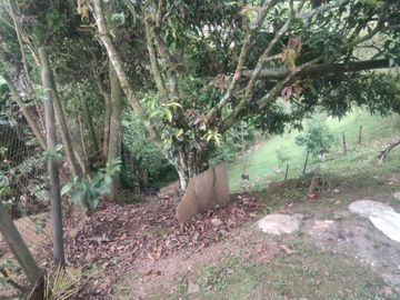 VENTA DE CASA FINCA LA TABLAZA, LA ESTRELLA