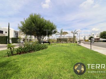 🚨SE VENDE CASA🏡 Cantera Residencial Villa Marino CelayaOPORTUNIDAD es el modelo más Solicitado del fraccionamiento.