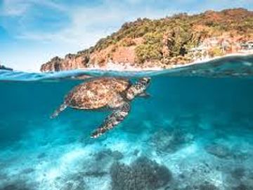 Resorts, Hotels, Development Land for Sale