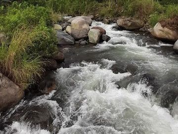 Complejo Turístico Balneario en Venta en Los Ríos Sector Montalvo