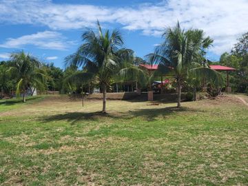 Tranquilidad y naturaleza te esperan en estos lotes de 1000 m². A solo 20 minutos de Tarapoto. Ver video!! 🎬