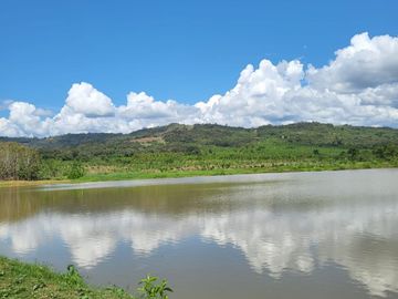Tranquilidad y naturaleza te esperan en estos lotes de 1000 m². A solo 20 minutos de Tarapoto. Ver video!! 🎬