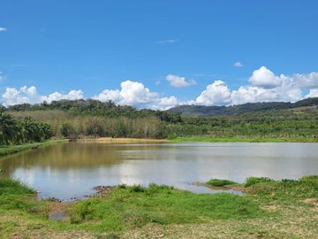Tranquilidad y naturaleza te esperan en estos lotes de 1000 m². A solo 20 minutos de Tarapoto. Ver video!! 🎬