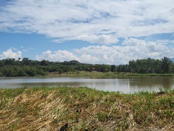 Tranquilidad y naturaleza te esperan en estos lotes de 1000 m². A solo 20 minutos de Tarapoto. Ver video!! 🎬