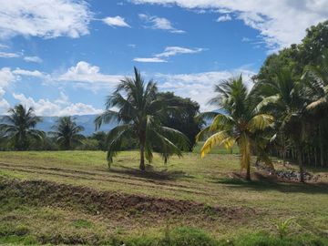 Tranquilidad y naturaleza te esperan en estos lotes de 1000 m². A solo 20 minutos de Tarapoto. Ver video!! 🎬