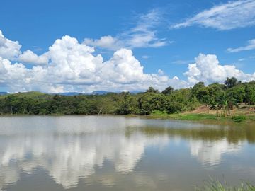 Tranquilidad y naturaleza te esperan en estos lotes de 1000 m². A solo 20 minutos de Tarapoto. Ver video!! 🎬