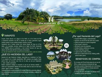 Tranquilidad y naturaleza te esperan en estos lotes de 1000 m². A solo 20 minutos de Tarapoto. Ver video!! 🎬