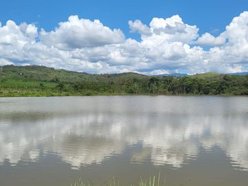 Tranquilidad y naturaleza te esperan en estos lotes de 1000 m². A solo 20 minutos de Tarapoto. Ver video!! 🎬