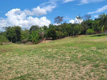 Tranquilidad y naturaleza te esperan en estos lotes de 1000 m². A solo 20 minutos de Tarapoto. Ver video!! 🎬
