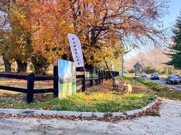 Parcela a orilla de camino k-08 Villarrica – Pucón a paso del Lago