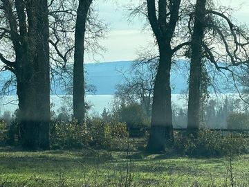 Parcela a orilla de camino k-08 Villarrica – Pucón a paso del Lago