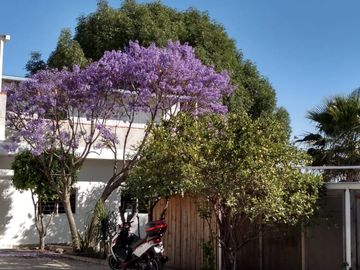 Propiedad  con oficinas y patio amplio muy cerca de la Volkswagen