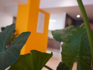 SE VENDE DEPARTAMENTO DE LUJO AMIRA CIMA DIAMANTE GRAN OPORTUNIDAD!! 170 m2, 3 HAB