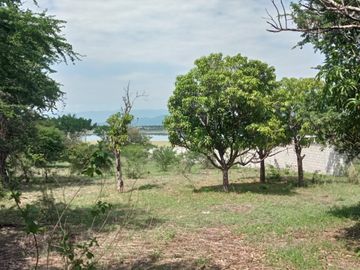 Propiedad en venta a borde de carretera, Miacatlán Morelos, Laguna El Rodeo.