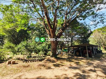 Land for sale, Choeng Doi Subdistrict, Doi Saket District, Chiang Mai, 