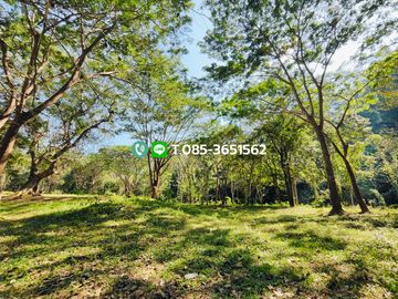 Land for sale, Choeng Doi Subdistrict, Doi Saket District, Chiang Mai, 