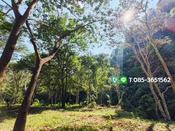 Land for sale, Choeng Doi Subdistrict, Doi Saket District, Chiang Mai, 