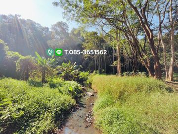 Land for sale, Choeng Doi Subdistrict, Doi Saket District, Chiang Mai, 