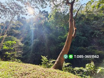 Land for sale, Choeng Doi Subdistrict, Doi Saket District, Chiang Mai, 