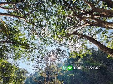 Land for sale, Choeng Doi Subdistrict, Doi Saket District, Chiang Mai, 