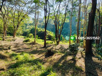 Land for sale, Choeng Doi Subdistrict, Doi Saket District, Chiang Mai, 