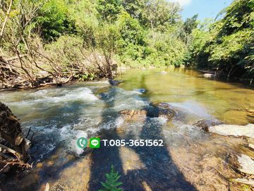 Land for sale, Choeng Doi Subdistrict, Doi Saket District, Chiang Mai, 