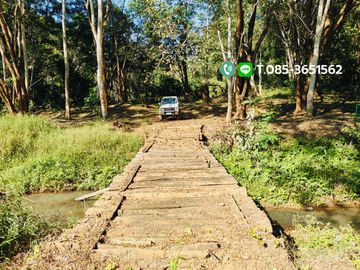 Land for sale, Choeng Doi Subdistrict, Doi Saket District, Chiang Mai, 