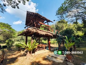 Land for sale, Choeng Doi Subdistrict, Doi Saket District, Chiang Mai, 