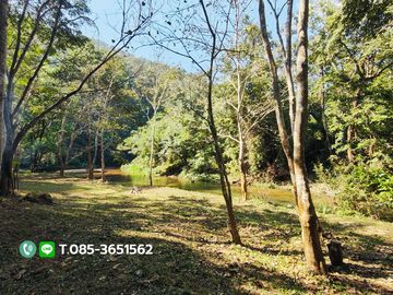 Land for sale, Choeng Doi Subdistrict, Doi Saket District, Chiang Mai, 