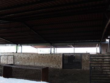 RANCHO EN MANUEL DOBLADO 15 HECTAREAS PARA SIEMBRA Y 2 POZOS DE AGUA