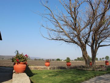 RANCHO EN MANUEL DOBLADO 15 HECTAREAS PARA SIEMBRA Y 2 POZOS DE AGUA