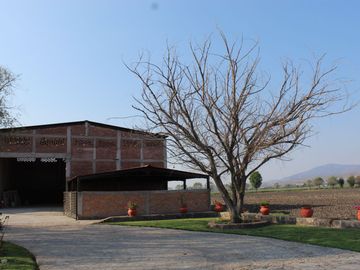RANCHO EN MANUEL DOBLADO 15 HECTAREAS PARA SIEMBRA Y 2 POZOS DE AGUA