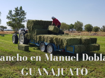 RANCHO EN MANUEL DOBLADO 15 HECTAREAS PARA SIEMBRA Y 2 POZOS DE AGUA