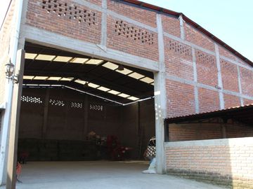 RANCHO EN MANUEL DOBLADO 15 HECTAREAS PARA SIEMBRA Y 2 POZOS DE AGUA