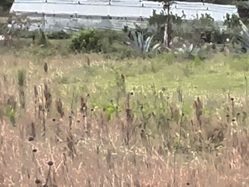 Venta de Terreno en San Antonio de Ibarra
