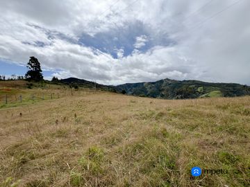 En venta terreno plano en Malacatos-Loja