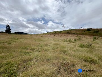 En venta terreno plano en Malacatos-Loja